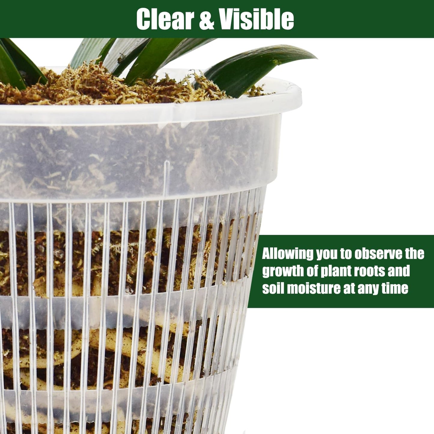 Tialero 12Pcs Orchid Pot, 3 Each of 4.5, 5.5, 6.3 and 7.5 Inch Orchid Pots with Holes and Saucers, Clear Orchid Pots for Repotting, Plastic Plant Pot(3 Each of 4.5,5.5, 6.3,7.5in with Saucers)