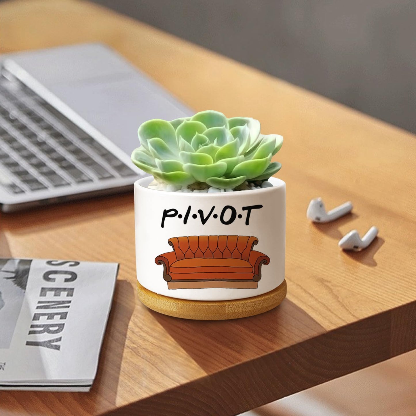 Ywkuiev Succulent Planter, Flower Cactus Plant Pot, Friends Merchandise, Funny Friendship Decor Gifts for Women Men Friends Sister Bestie Housewarming Gift (Plants Not Included)