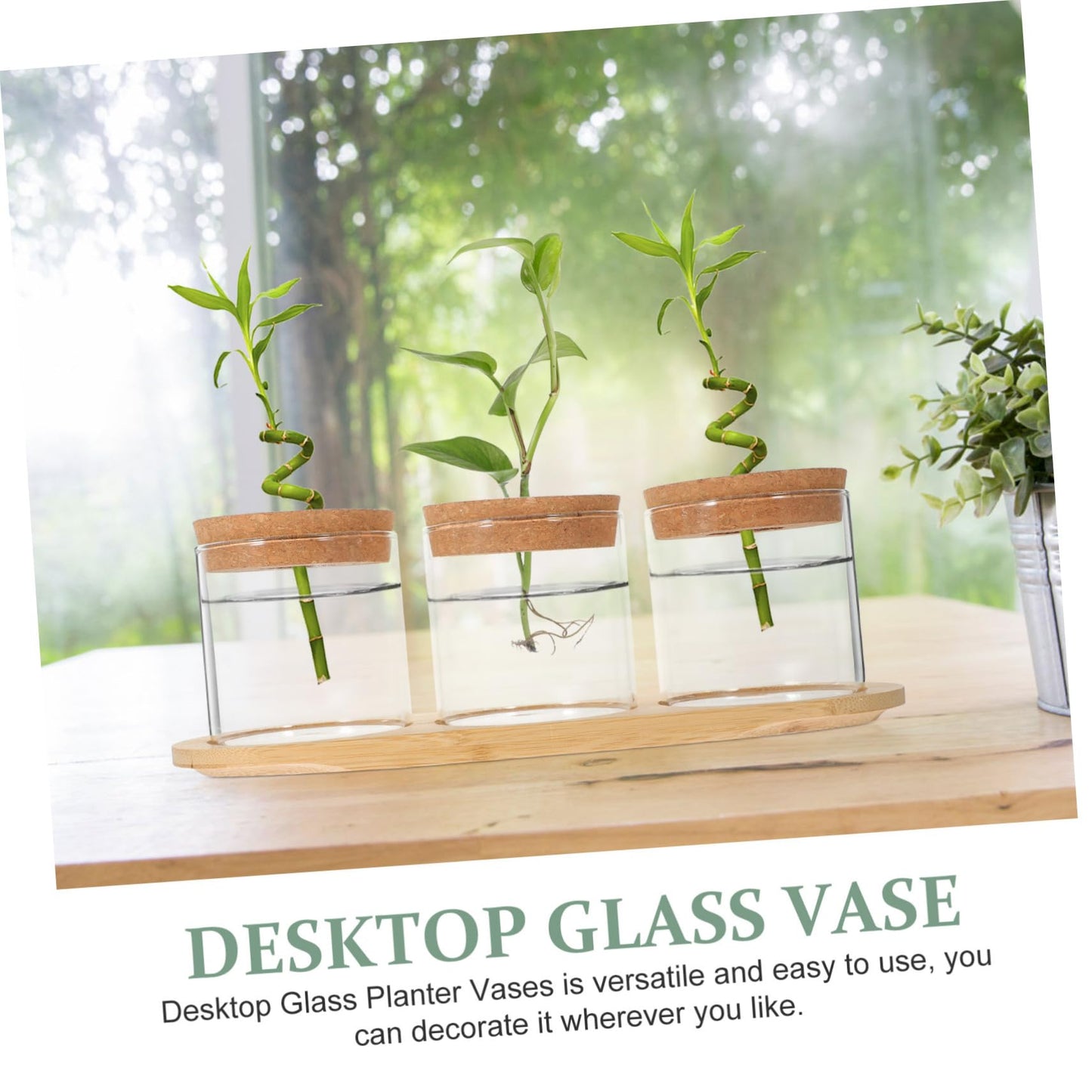 SUPVOX 1Set Hydroponic Indoor Garden Glass Bulb Vases with Stand for Tabletop Plant Terrarium for Home and Office Decoration