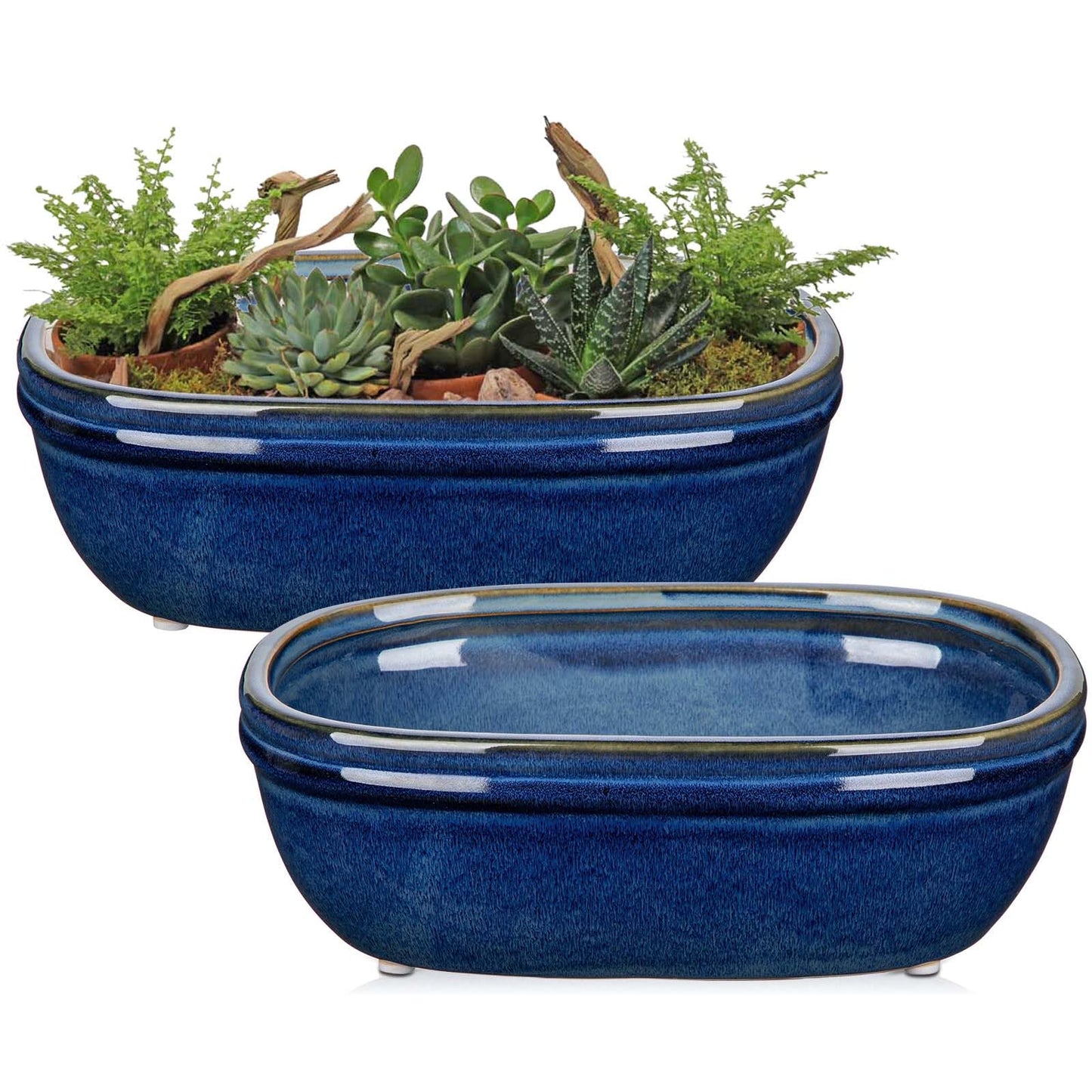 DILATATA Set of 2 Oval Ceramic Bonsai Planter Pots (9.3” x 6.3”) – Glazed Succulent & Cactus Flower Pots Without Holes for Indoor & Outdoor Plants, Bonsai Tree Pot Decorative Garden Containers