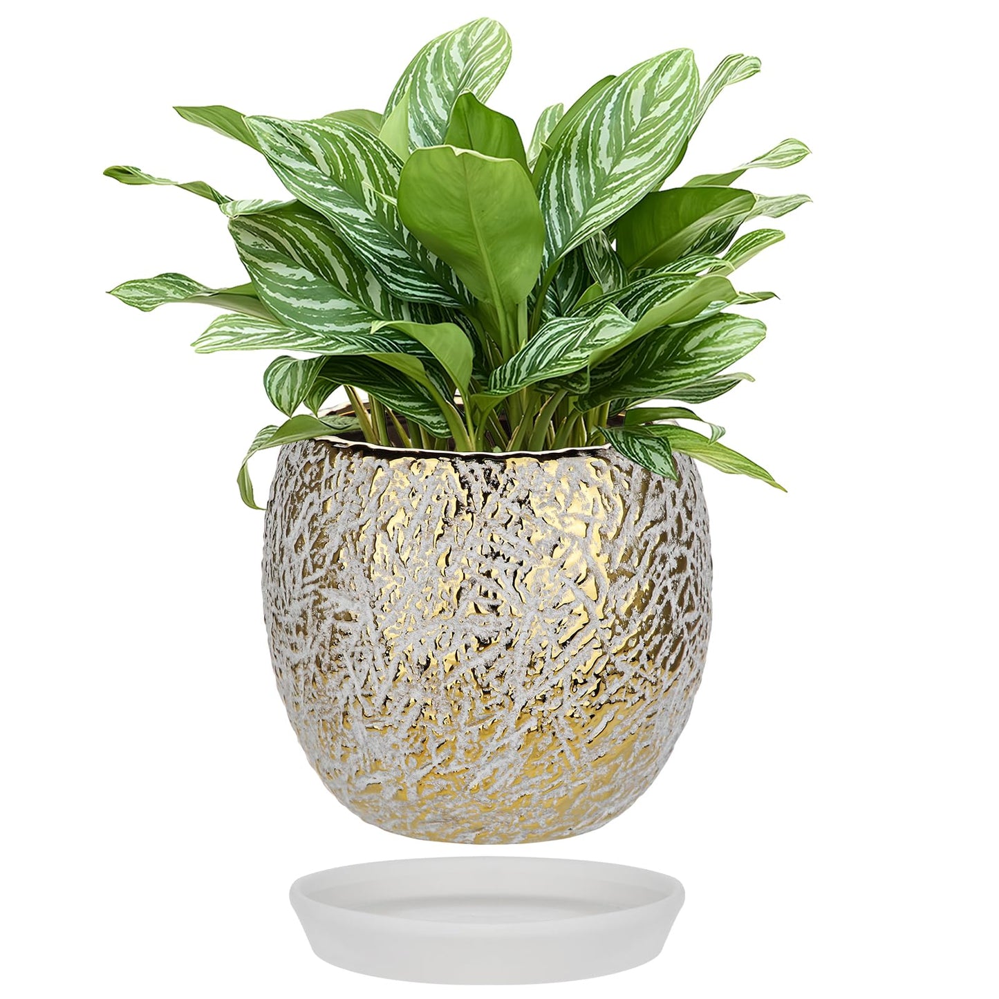 Ceramic Plant Pots for Plants Indoor 5.3 Inch Round Gold and White Flower Pot Gilded Decorative Planter with Drainage Hole and Saucer Modern Ceramic Pot for Succulents Orchids Cactus Herbs Home Decor