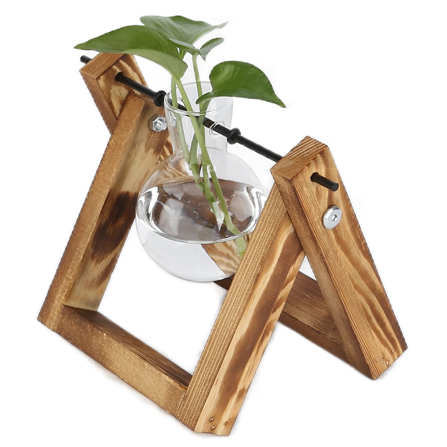 Fydun Plant Terrarium with Wooden Stand, Stand,Desktop Air Planter Glass Vase Desktop Terrariums Bulb for Indoor Hydroponics Water Plants Home Garden Office Decoration Accessories2
