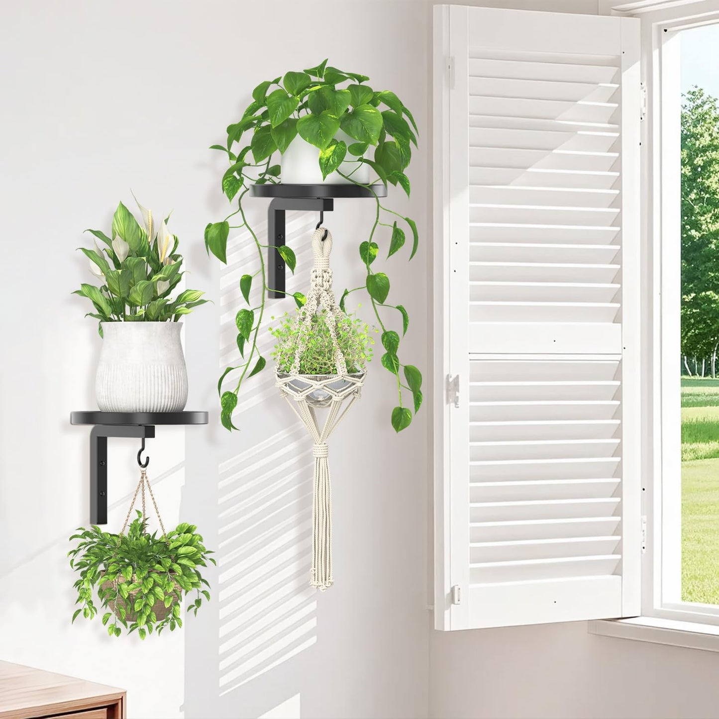 iDavosic.ly Wall Plant Holder Set of 2 for Indoor Outdoor, Metal Hanger with 2 Hooks, Floating Flower Display Stand for Window, Space Saving & Easy to Assemble (Pots/Chains/Plants Not Included), Black