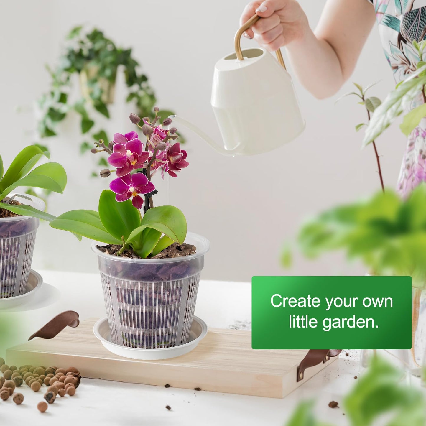 MYITYARD Orchid Pot, 6 Pack 6 Inch Orchid Pots with Holes & Saucers for Repotting - Clear Plastic Plant Pots for Indoor Outdoor Flower Planters Dendrobium Phalaenopsis