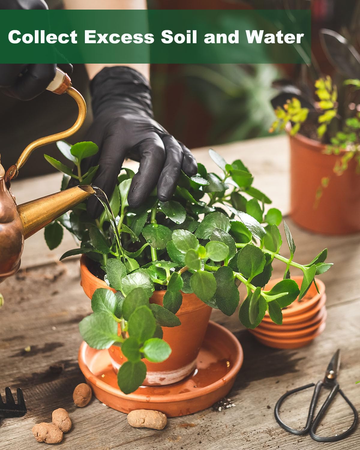 3.5 Inch Terracotta Plant Saucer - 6 Pcs Mini Terra Cotta Saucer for Indoor & Outdoor Plants, Plant Drip Trays Perfect for 2 Inch 2.5 Inch Flower Pots