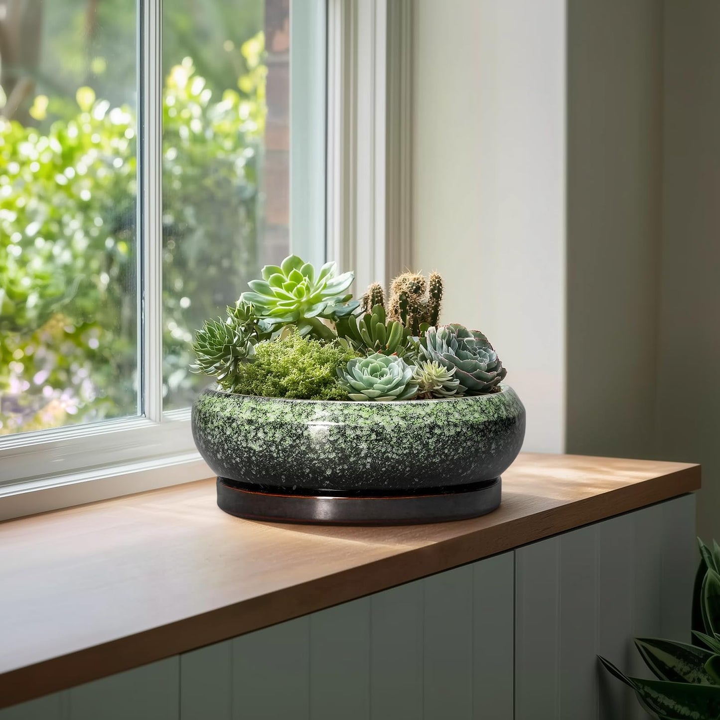 EPFamily Bonsai Pots - 13 Inch Ceramic Succulent Planters Indoor, Round Shallow Planter with Drainage Hole and Saucer, Large Succulent Pot, Bowl Planter Outdoor, House Decor, Housewarming Gift, Green