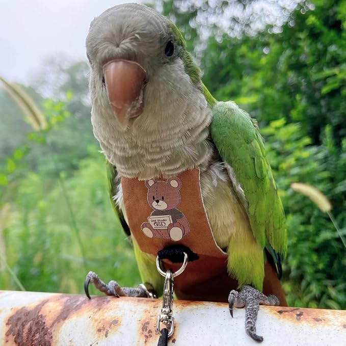 Bird Diaper Harness Flight Suit Clothes, Parrot Flight Suit with Leash for Parrot, Bird Flying Clothes with Rope and Handle for Outdoor Activities Training (Budgie,with Leash)