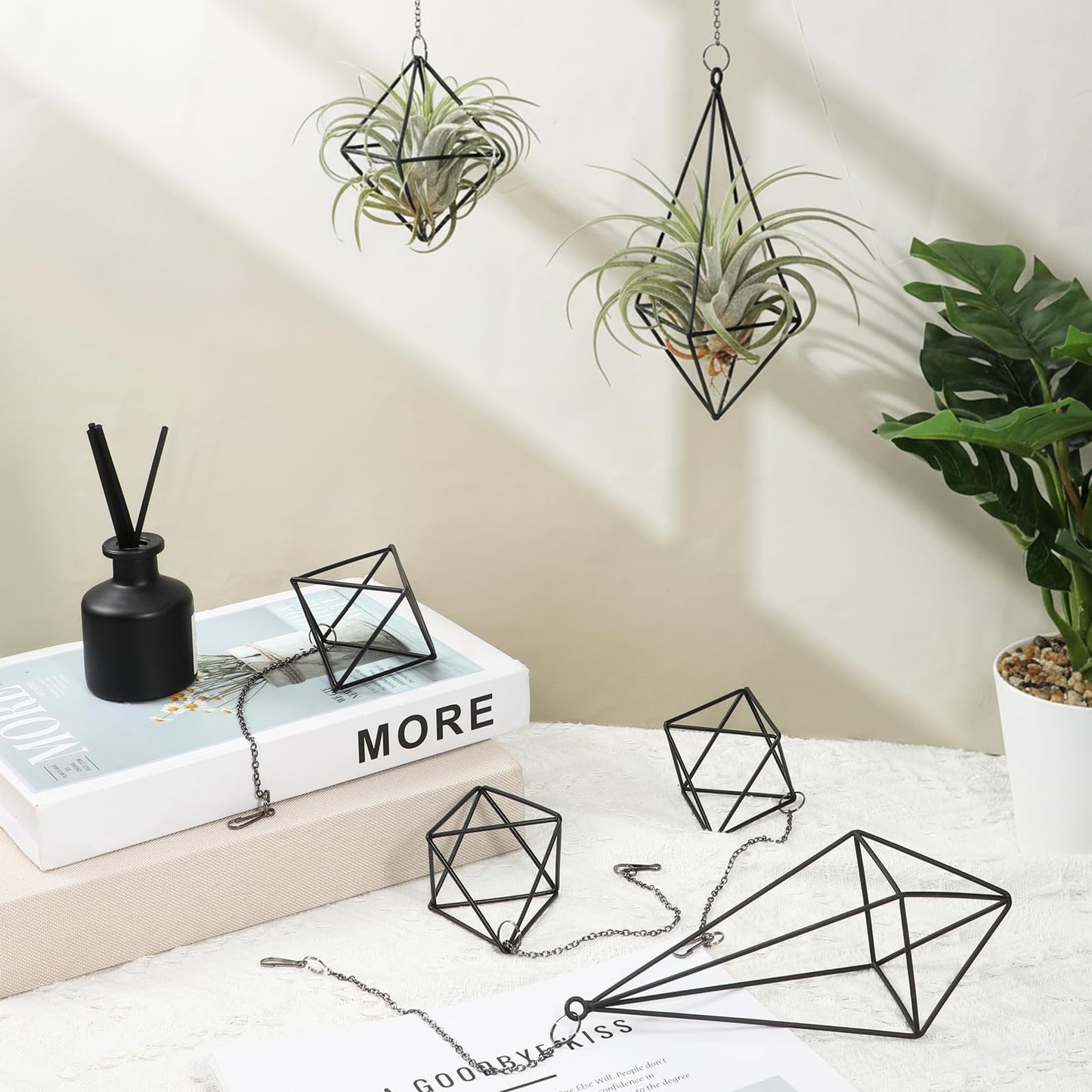 Yuanan 6 PCS Air Plant Hanger, Air Plant Holder Geometric Metal Airplant Holder Hanging Tillandsia with Chains, Home Decor, Balcony Planting and DIY Art for Small Indoor Plants-2 Size