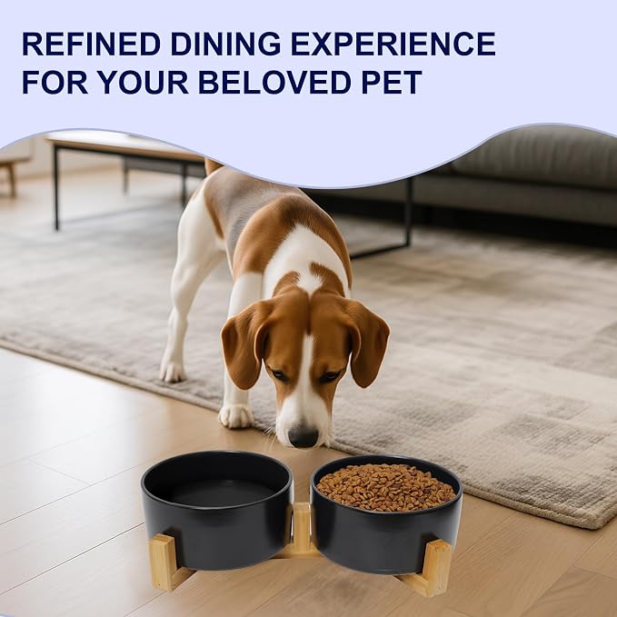Ceramic Dog Water Bowl, 13.5 oz No Spill Water and Food Bowls for Dogs, Modern Design Dishes for Puppy & Cat, Pet Feeding Station with Weighted Base, Black