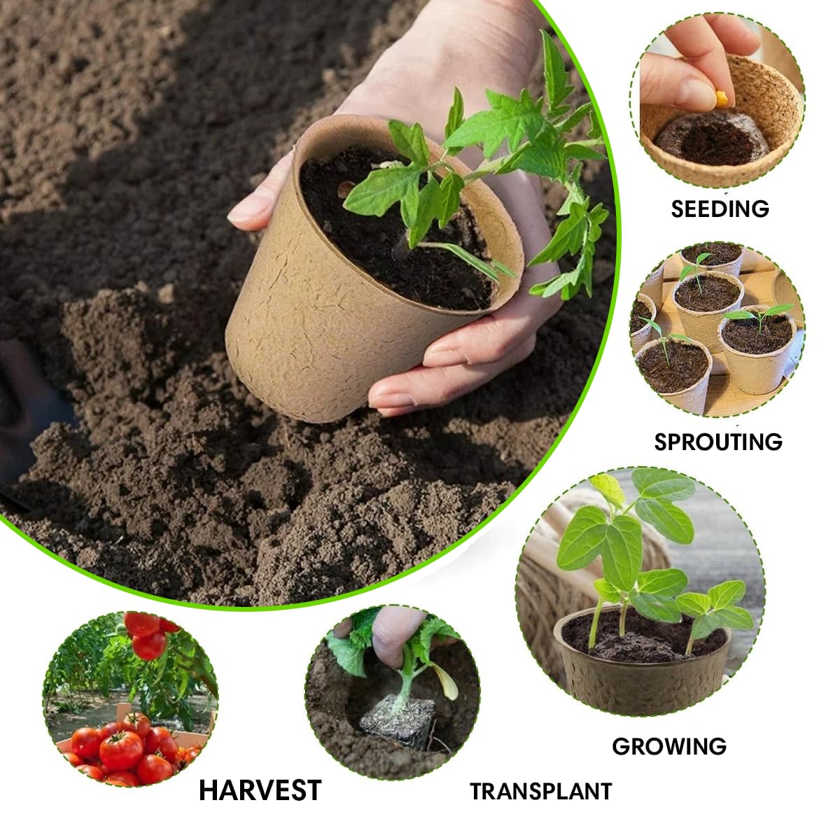 Garden Haven Seedling Starter Kit Germination Grow Cups and Soil (10 Pack) Biodegradable Peat Pots, Coco Coir Soil Discs, Plant Markers - Organic Grow Kit for Seed Germination, Indoor/Outdoor (1)