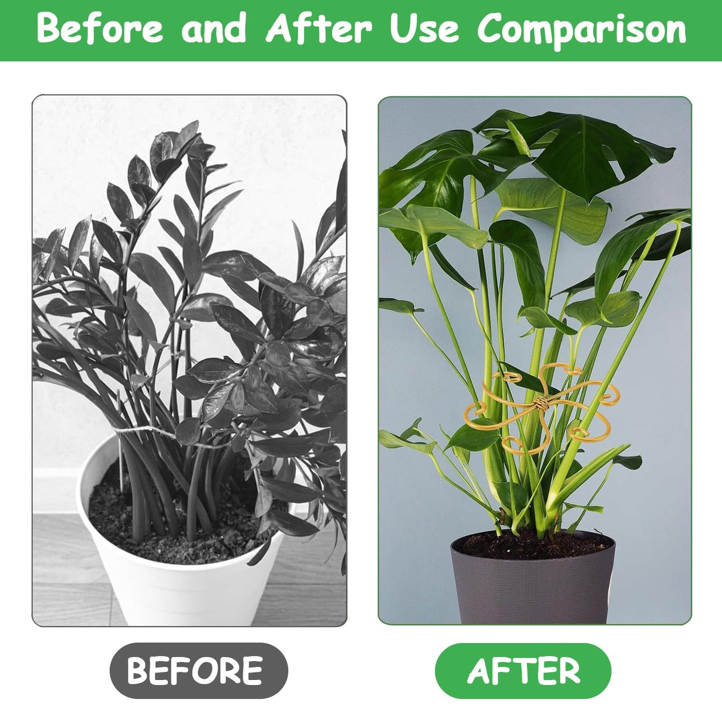 5 Pcs Plant Stem Support, Iron Monstera Plant Support, Durable Hook Stem Supports for Healthy Growth, Bamboo Clamp Set for Leaf Stabilization and Support, Ideal Present for Plant Lovers (6.5IN*6.5IN)