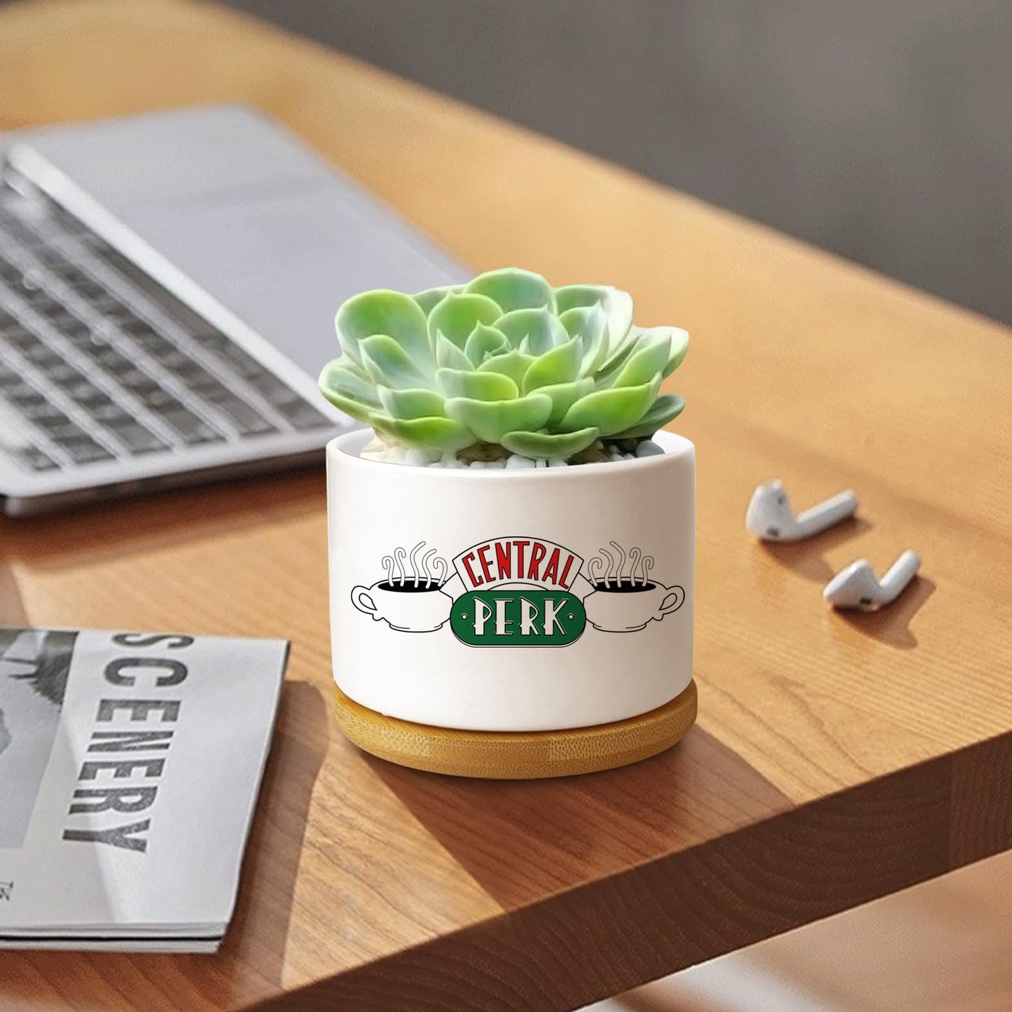 Ywkuiev Succulent Planter, Flower Cactus Plant Pot, Friends Merchandise, Funny Friendship Decor Themed Gifts for Men Women Best Friends Bestie Sister Housewarming Gift (Plants Not Included)