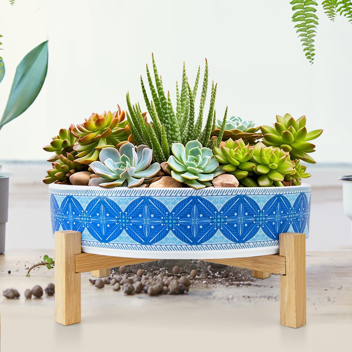 ARTKETTY Succulent Pots - 11 Inch Large Plant Pots Ceramic Bonsai Pots with Drainage Stand, Shallow Succulent Planters for Indoor Plants Decorative Flower Cactus Planter Bowl