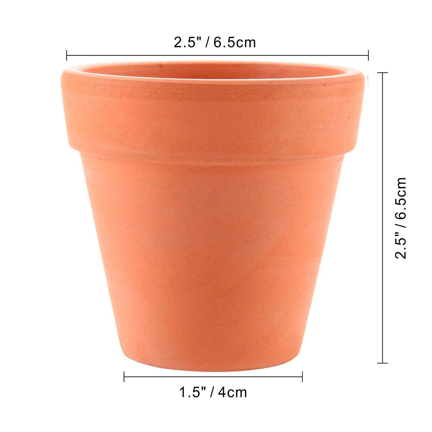 T4U 2.5 Inch Terracotta Clay Pots Pack of 12 - Mini Hand Craft Nursery Plant Pot Succulent Cactus DIY Pottery Planter Home Garden Windowsill Decoration Christmas Gift