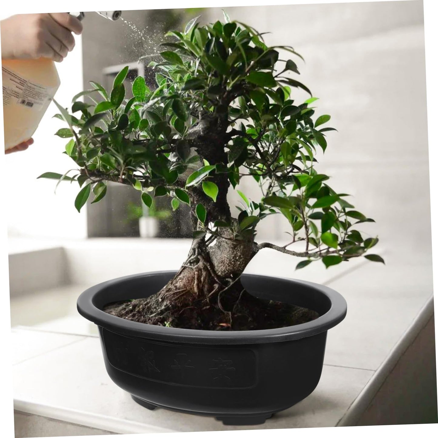 DOITOOL 2Pcs Bonsai Training Pot 15 inch Plastic Flower Pot Bonsai Pot with Drainage Hole, Oval Bonsai Planter Pot Plants Growing Pots for Nursery, Garden, Balcony, Black