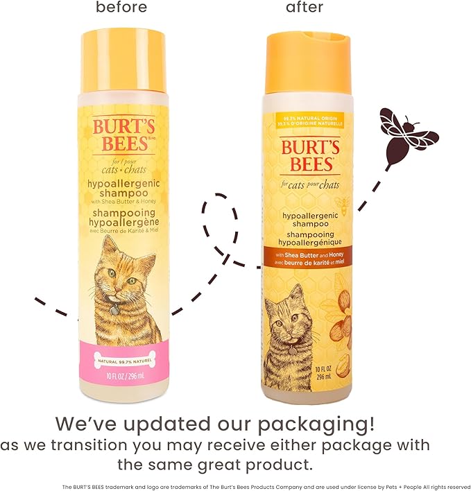 Burt's Bees for Pets Hypoallergenic Cat Shampoo with Shea Butter and Honey, Gentle Formula for Indoor Cats with Dry or Sensitive Skin, pH Balanced, Fragrance-Free, 10 Fl Oz