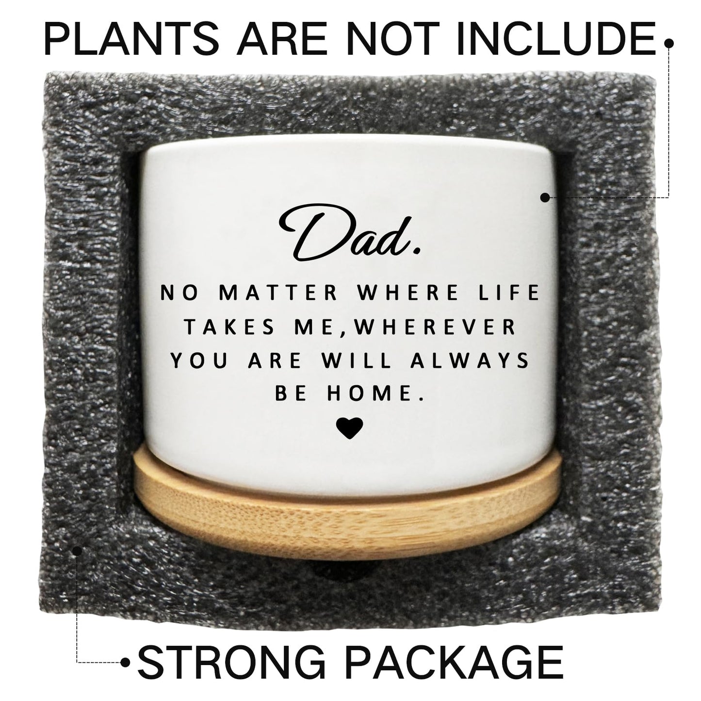 Arosedmo Succulent Planter Pot for Dad - Cute 3 Inch Plant Dad Gift from Daughter or Son with Bamboo Tray, Best Fathers Day Birthday Gardening Gifts for Dad, Grandpa, Husband