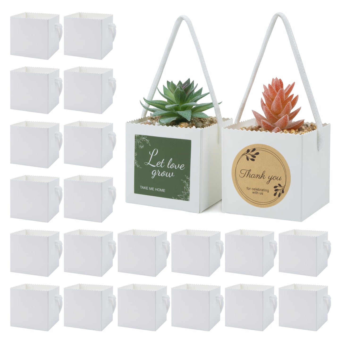 Temlum 2.5 Inch Succulent Wrap Bags (Fits 2.5″ Pots) with Thank You & Let Love Grow Stickers, Small Gift Box for Wedding, Baby Shower, Succulent Party Favors for Guests (White 100pcs)
