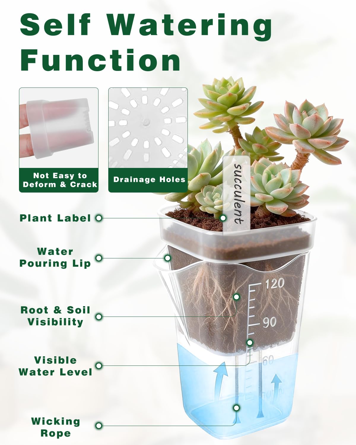 10 Pack 2" Small Self Watering Pots for Indoor Plants, Clear Mini Plastic Planter with Labels,Water Level Indicator, ,Mini Self Watering Pot for African Violet,Semi-Hydro,Propagation,Seeding,Cutting