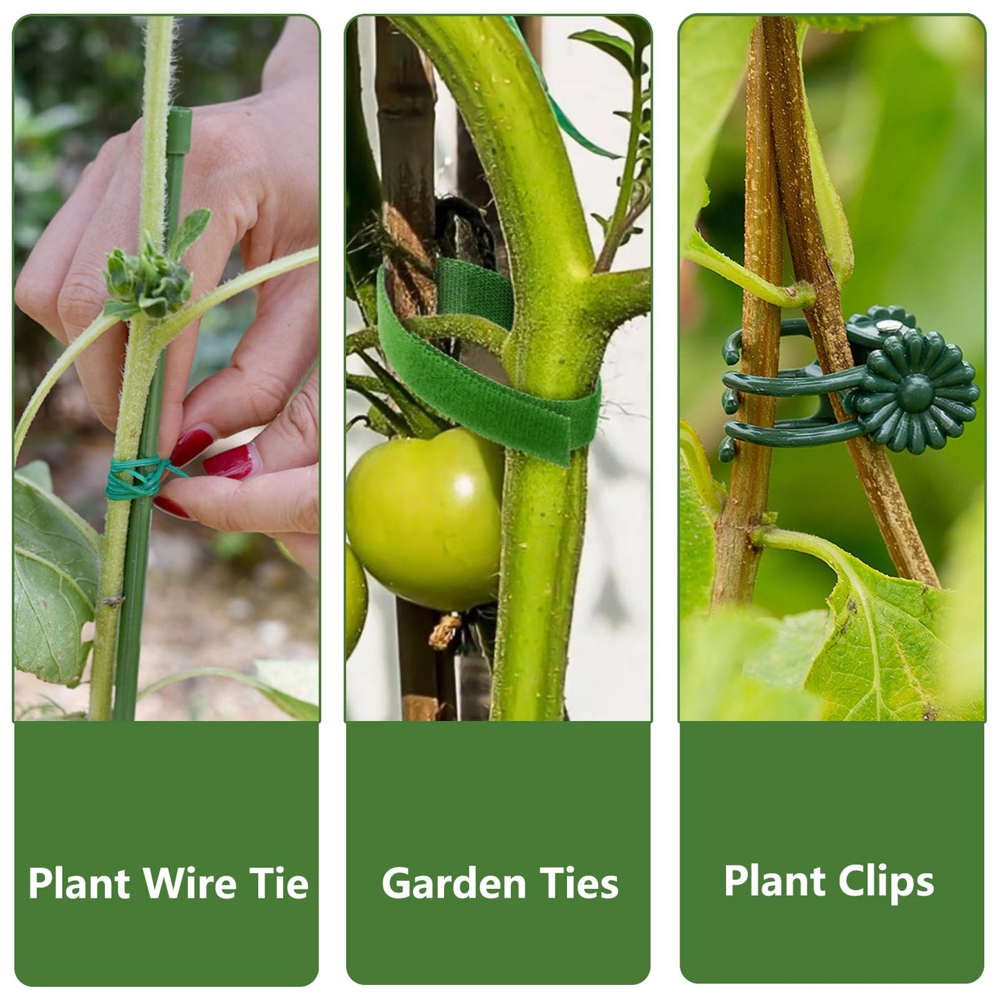 Ruksifg 51 Inch Height Adjustable Plant Sticks Support Tall,Monstera Plant Support Stakes with Extension Poles, Plant Clips, Plant Ties Plant Support for Monstera Plants, Climbing Plants (6 Pack)