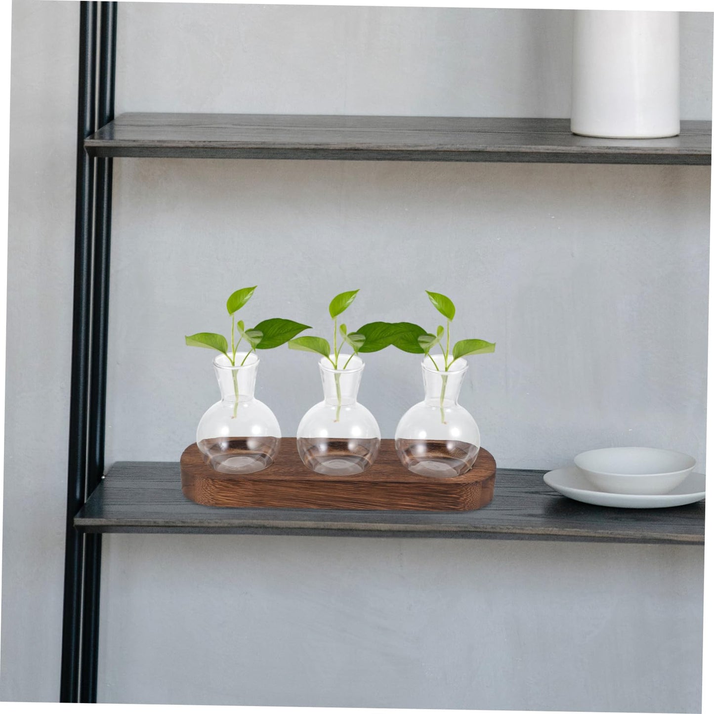 IWOWHERO Elegant Green Pothos Plant Container Glass Vase with Simple Design for Home Office Decor