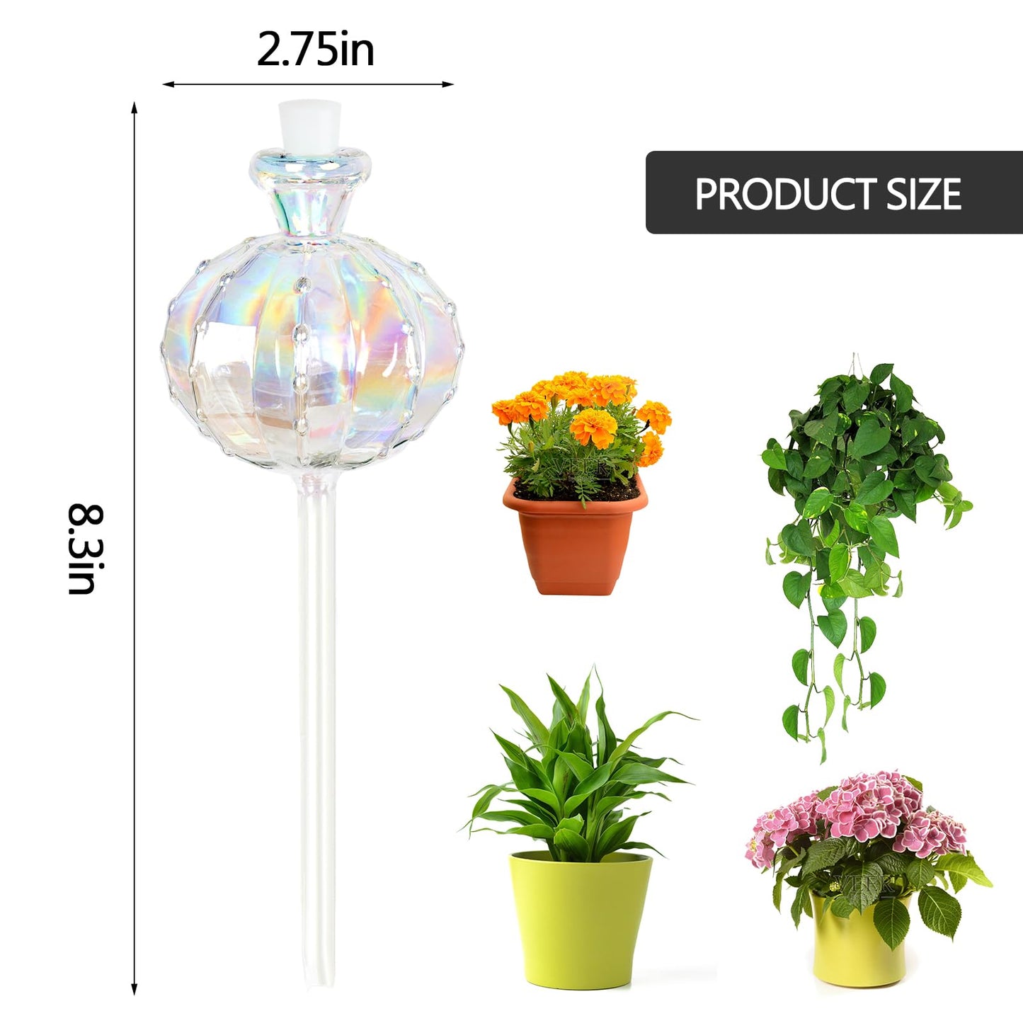 KGCCIZI Self Watering Planter Insert. Plant Watering Devices. Plant Watering Bulbs. 4-PCS Plant Watering Globes. Rainbow Colors Cactus Shape Self Watering Globes Medium Size. Plant Lover Gifts