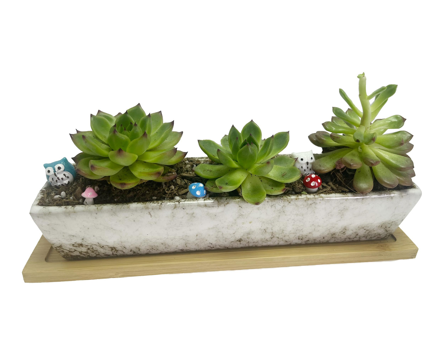 SWONVI 10 inch Ceramic Succulent Planters with Drainage Small Bonsai Pot with Bamboo Tray, Mini Shallow Planter Pot, Rectangular Window Planters for Indoor Plants (White 1 pcs)