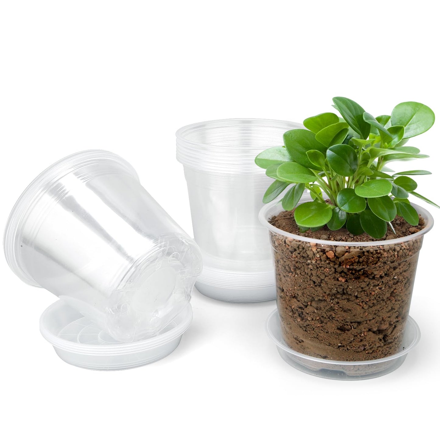 FUOAUYK 3 Inch Clear Nursery Pots with Drainage Trays, 15 Pack Plastic Pots for Plants, Clear Pot for Seed Starting, Transplanting, Succulents, and Indoor Gardening (3 inch)
