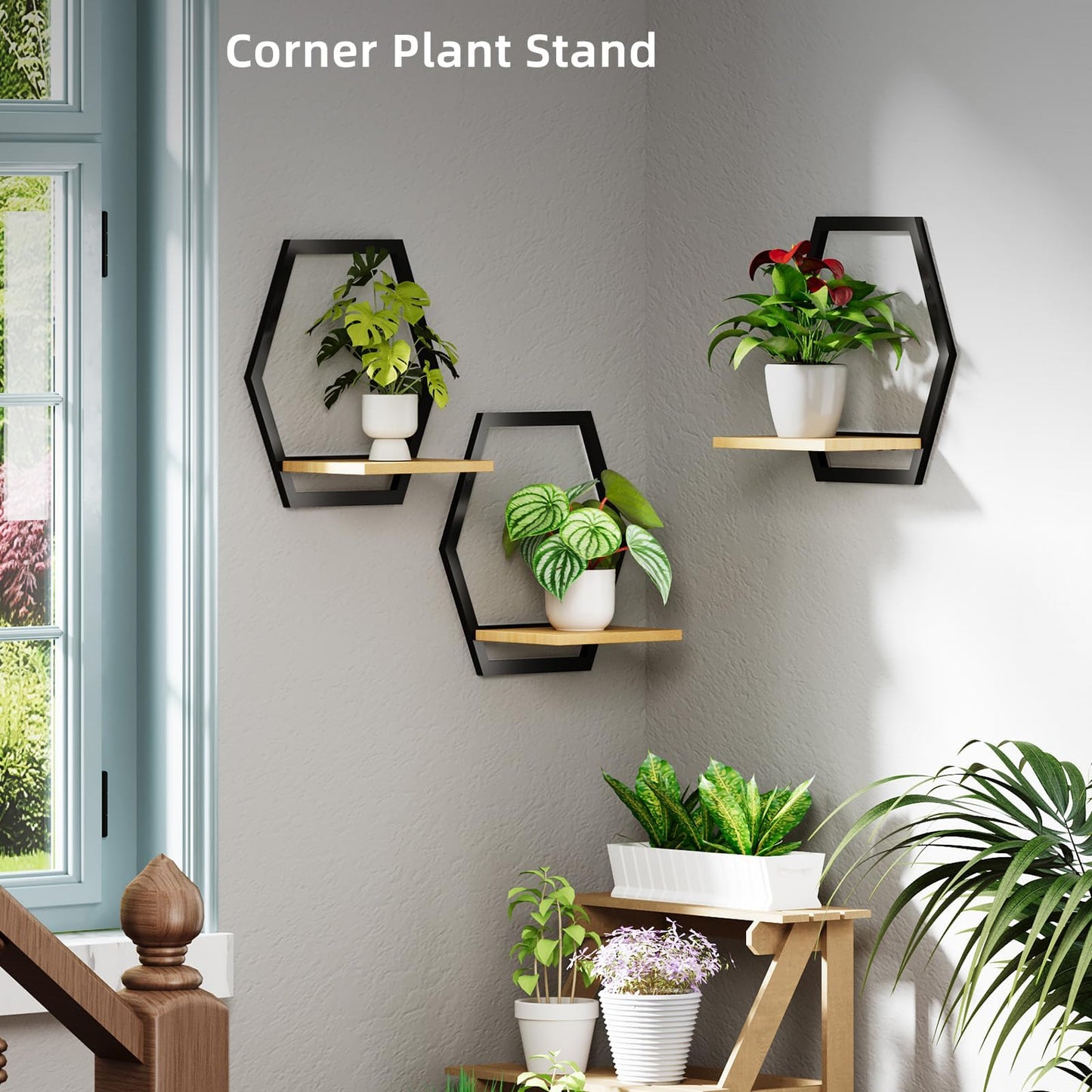 Rioneta 3 Pack Solid Wood & Heavy Duty Metal Wall Plant Stands,9 inch Natural Wood Shelf, Boho Arch Hanging Planter for Indoor 25 LB Load for Plants Black