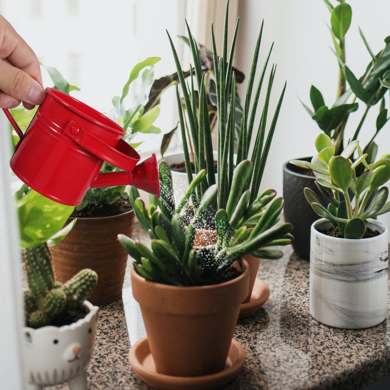 2 Pack Small Metal Watering Can for Kids, Mini Plant Water Pot for Indoor Outdoor Gardening, Cute Toddler Beach Sand Bath Toys with Sprinkler Head, Tiny Succulent Bonsai Cans, 6oz