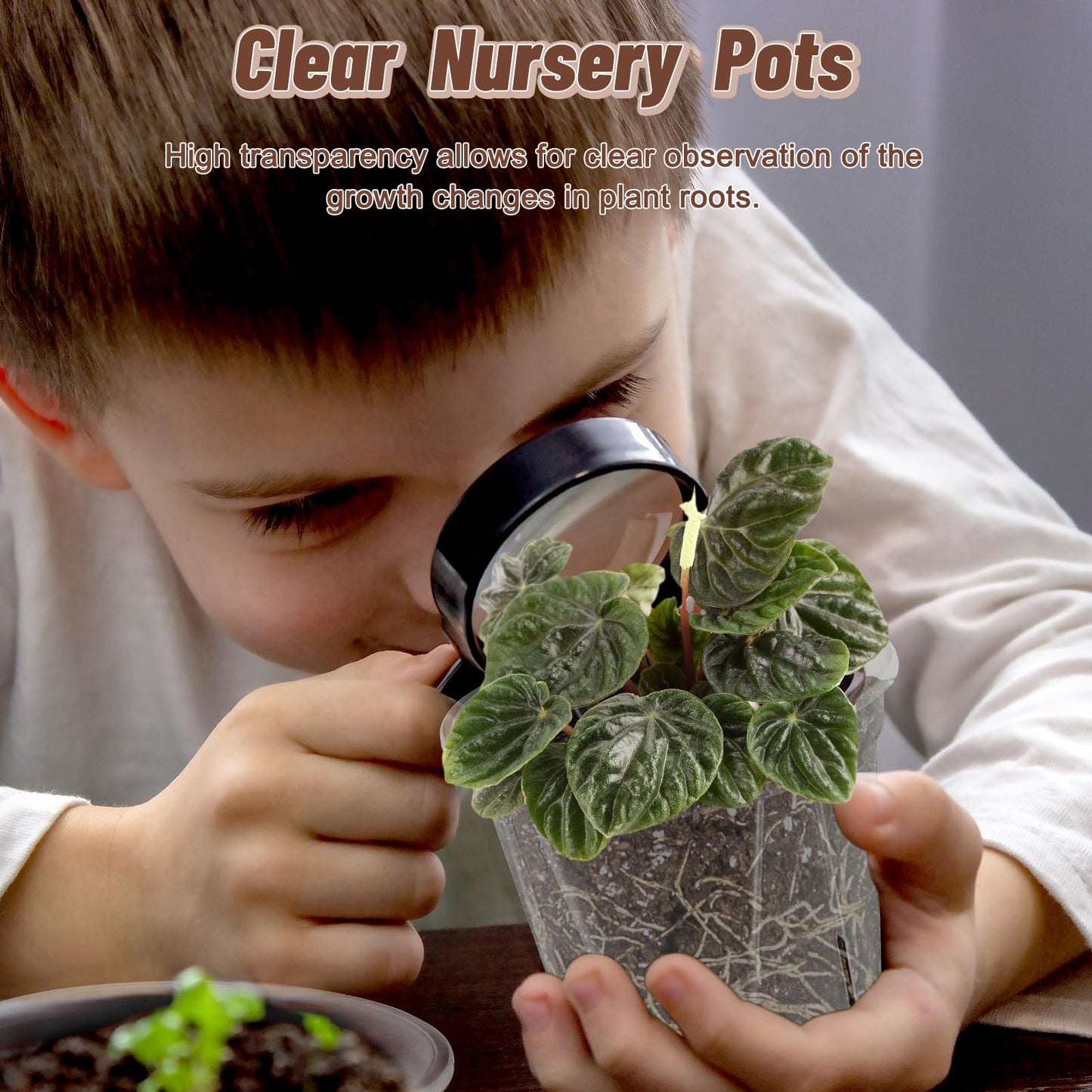 Clear Nursery Pots with Drainage, 10 Pack Transparent Plastic Orchid Planters, 6 Sizes Plant Pots 9.5/8.5/7/6/4.7/4 Inch with 10 Plant Labels for Seedlings, Succulents, Indoor/Outdoor Repotting