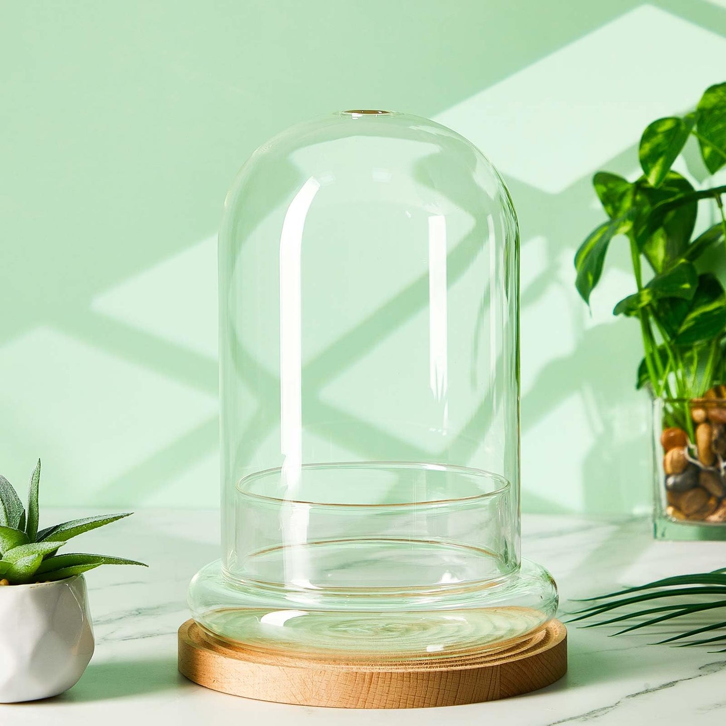 Perthlin 1 Pcs 5.9 x 7.9 Inch Glass Terrarium Clear Terrarium Planter Container Glass Dome Cloche with Airhole and Base for Plant Flower Home Tabletop Display Centerpiece, Plants Not Included