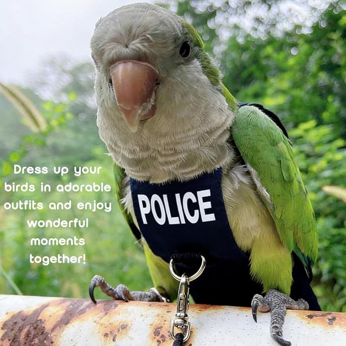 Bird Diaper Flight Suit, Cute Cosplay Parrot Clothes, Easy-to-Wear Washable Nappy, Durable Metal Ring Harness for Cockatiel, Conure, African Grey, Parakeet Outdoor Flying (with Leash,S)