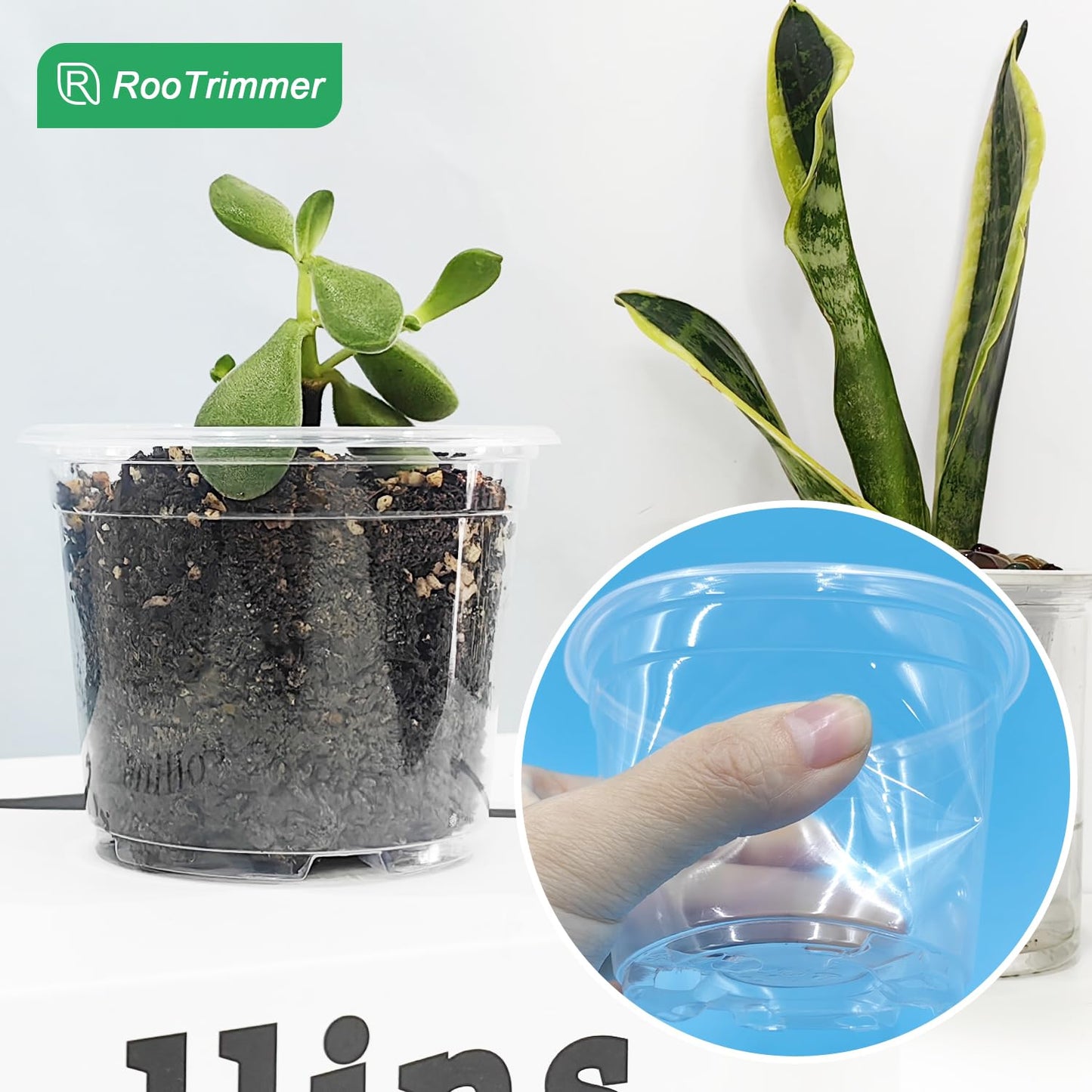 RooTrimmer 100 Pack 2.8 Inches Clear Plant Pots with Drainage Holes, Transparent Seeding Nursey pots, Round Plastic pots for Seeds Starter, Seeds Germination