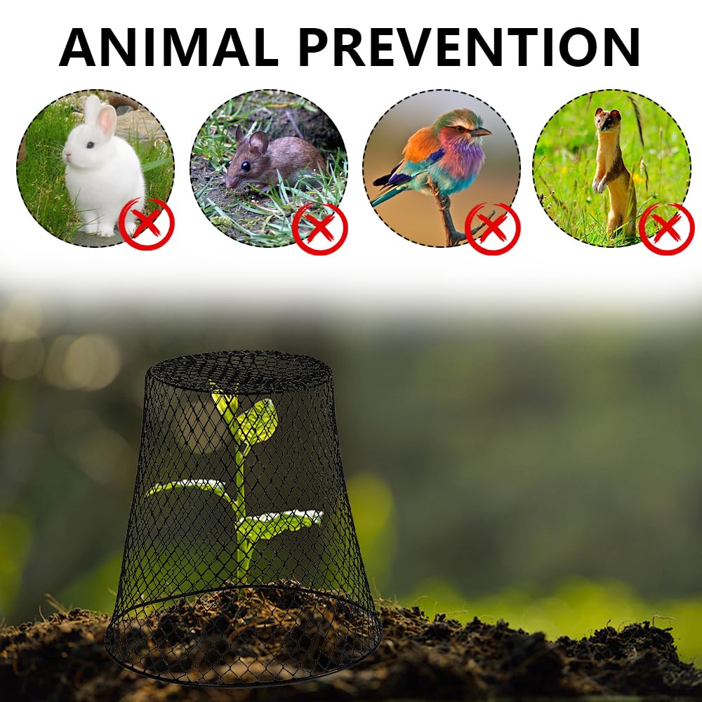 Airsnigi 24Pcs Chicken Wire Plant Cover,9x9 inch Garden Cloches Black Metal Chicken Wire Cloches Plant Protector Cover for Keeping Bunnies Rabbits Chickens Birds Squirrels Small Animals Out