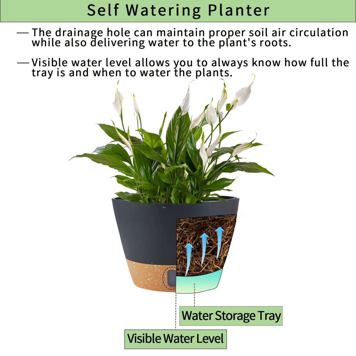 WIZROL 2 Pack Hanging Planters for Indoor Outdoor Plants, 10 Inch Hanging Flower Pot Basket with Drainage Hole with Removable Tray&Hooks Self Watering Plant Pot for Hanging Plants, Dark Grey