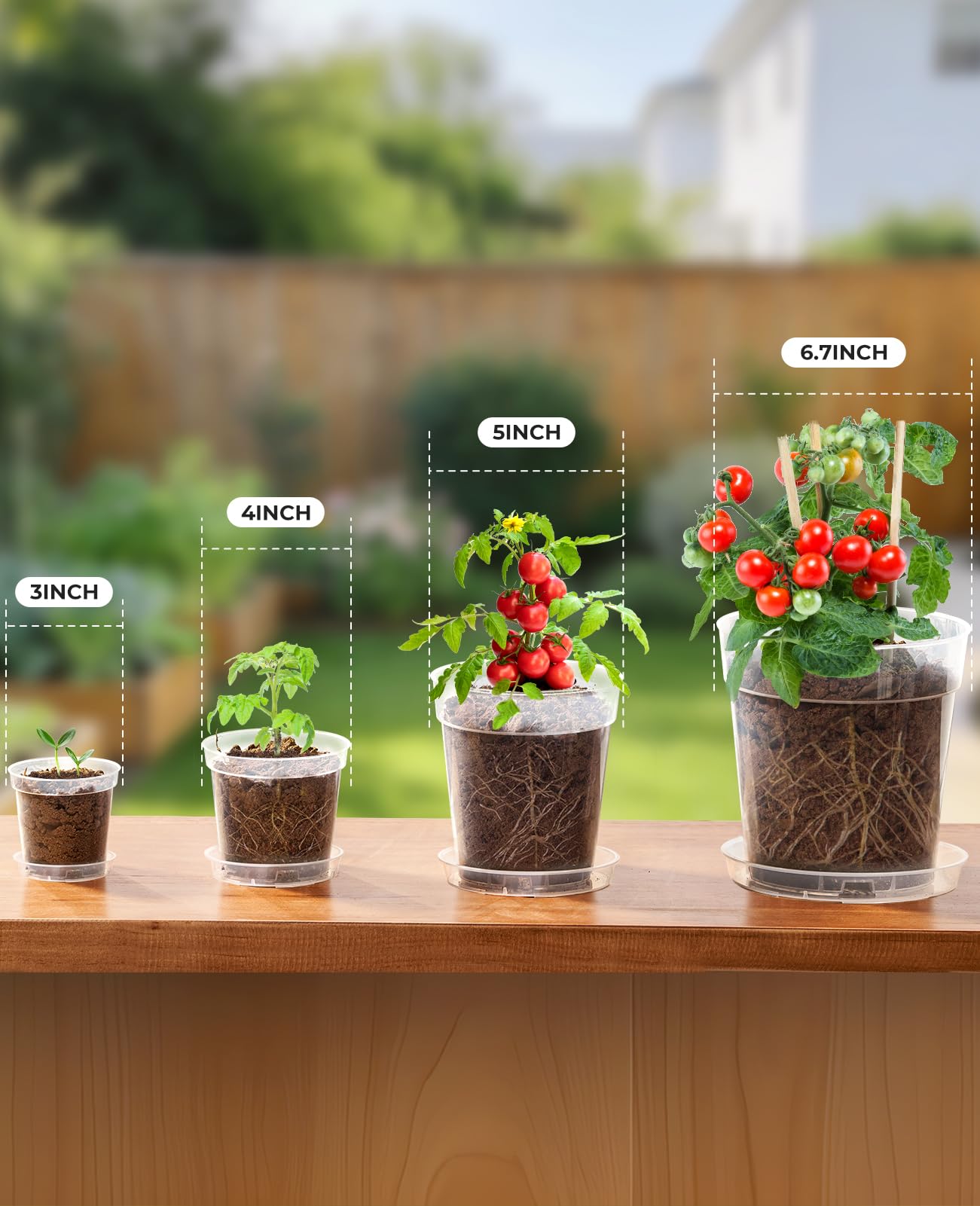 homenote 3/4/5/6 Inch Clear Nursery Pots 20 Pack with Drainage and Plant Saucers, Variety Pack Rigid High-Transparency Plastic Nursery Pots for Plants, Planter Nursery Pots with 10 Labels