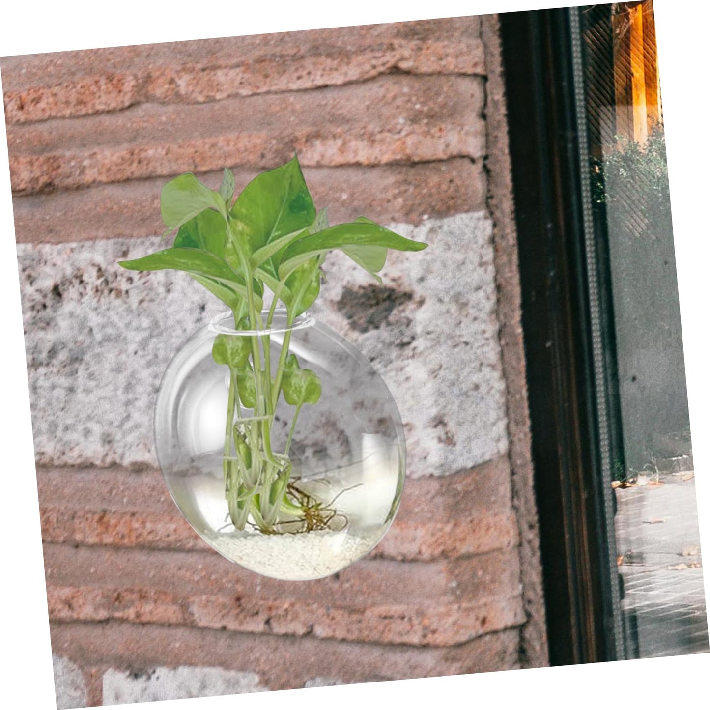 BIUDECO Wall Hanging Glass Terrarium Planter Stylish Hydroponic Flower Vase for Indoor Plants Transparent Design for Home Decor for Succulents and Plant Arrangements