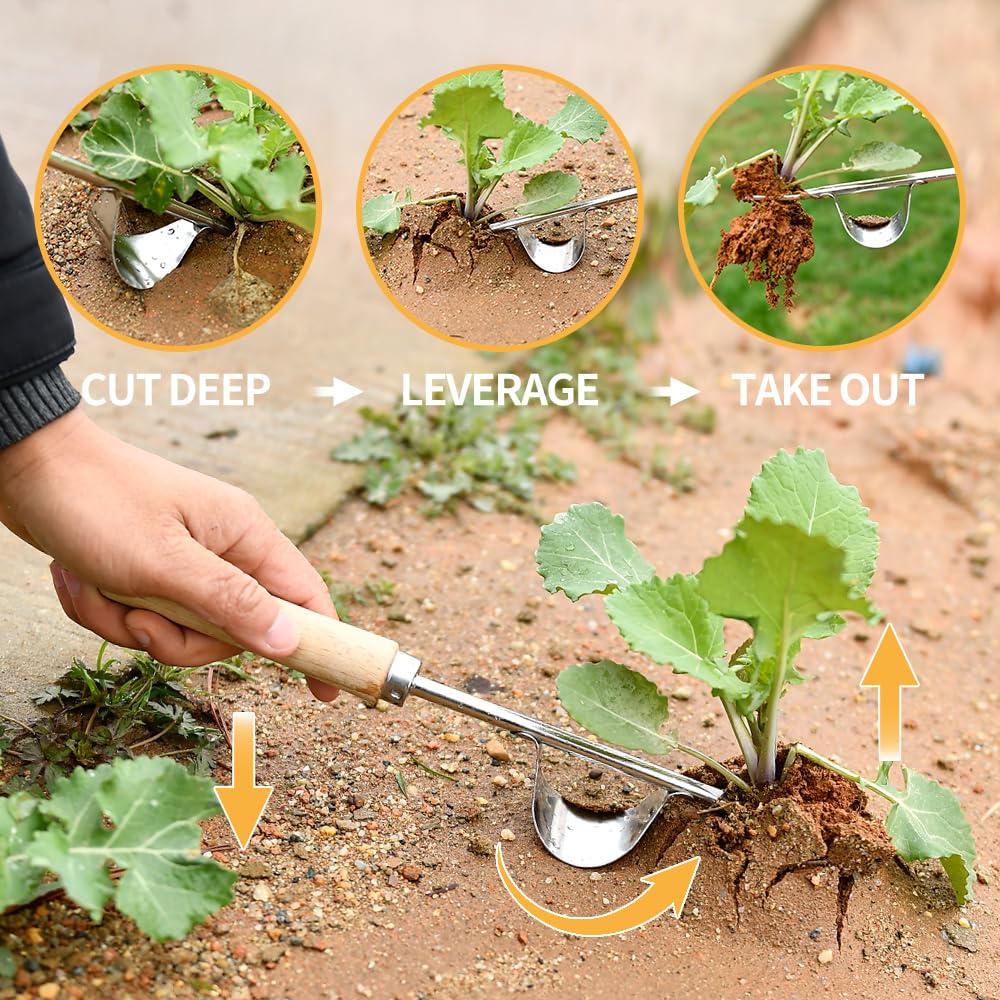 GANCHUN Weed Puller Tool, 3 Pack 2025 New Garden Stainless Steel Weeder Tool Hand Weeder Tool,Multi-Purpose Weed Remover Tool Weeding Tools for Gardening(Wooden Handle)