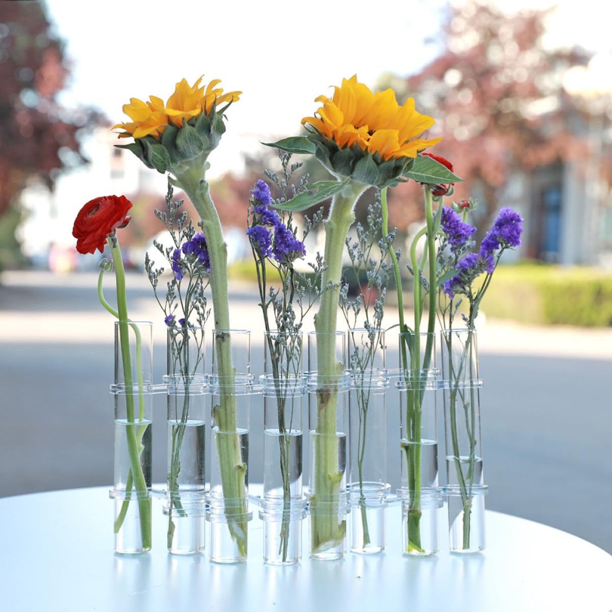 Balacoo Test Tube Glass Vases 8pcs Large Hydroponic Plant Propagation Tubes with Cleaning Brush for Home Decor and Succulent Terrarium Gardening