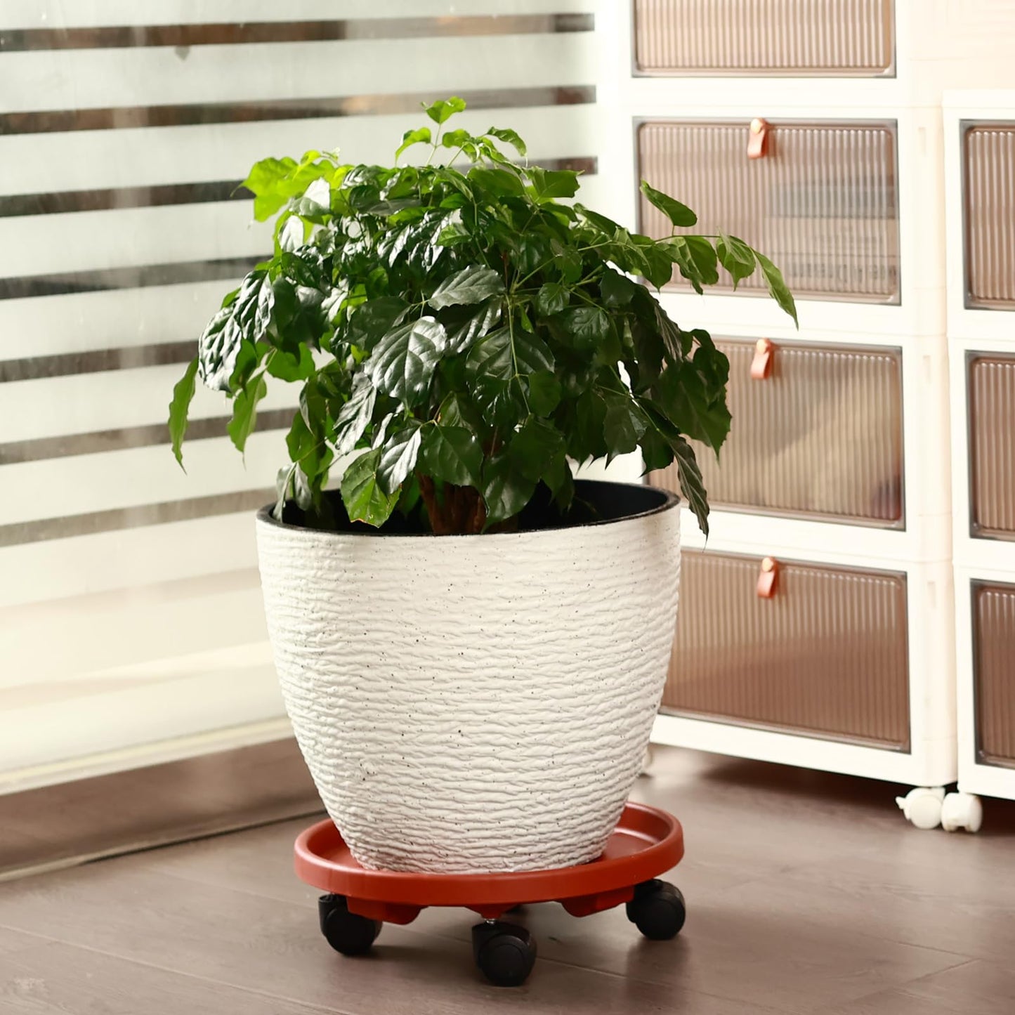 3 Packs Large Plant Caddy with Wheels 13" Rolling Plant Stands Heavy-duty Plastic Plant Roller Base Pot Movers Plant Saucer on Wheels Indoor Outdoor Plant Dolly with Casters Planter Tray Coaster