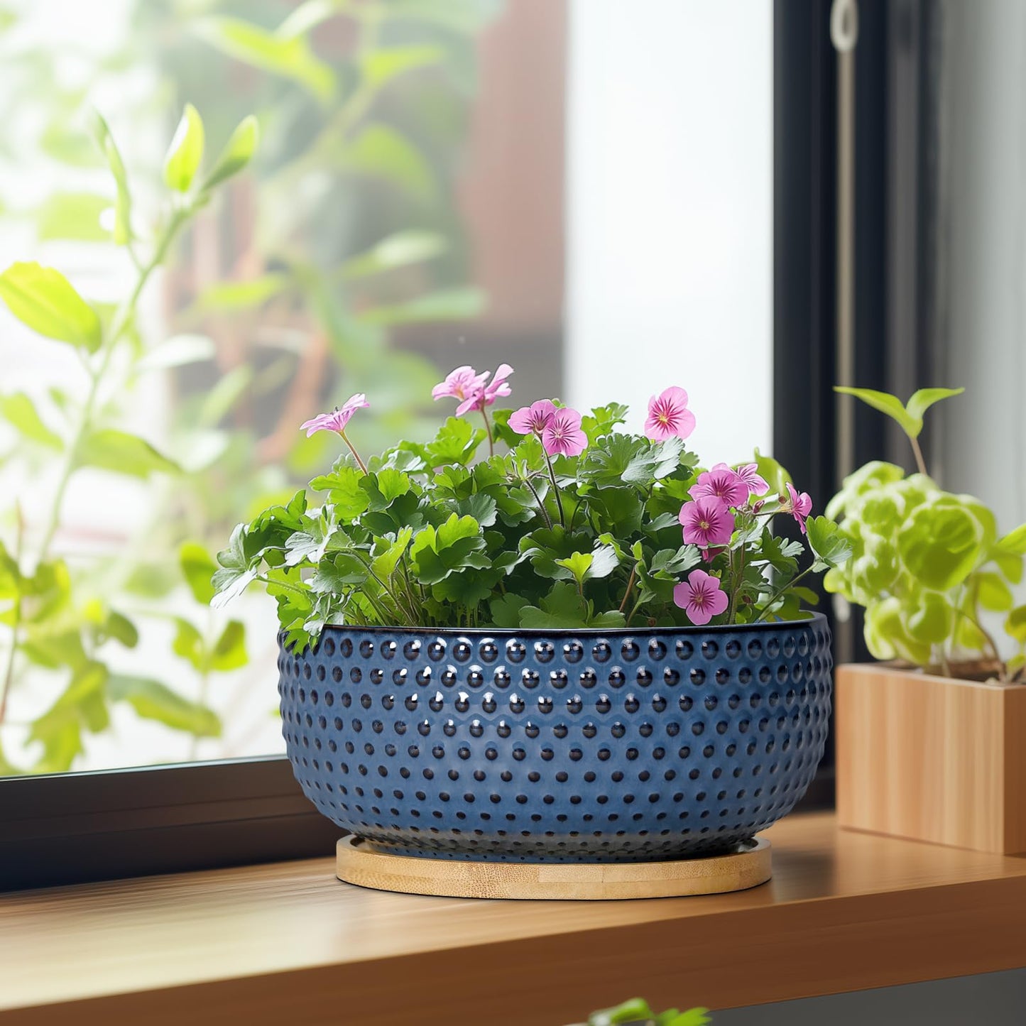 EPFamily Bonsai Pots - 8 Inch Ceramic Pots for Succulent Plants & Bonsai Tree, Planter with Drainage Hole and Saucer, Modern Round Decorative Flower Planters, House Decor, Gifts for Women Man, Blue