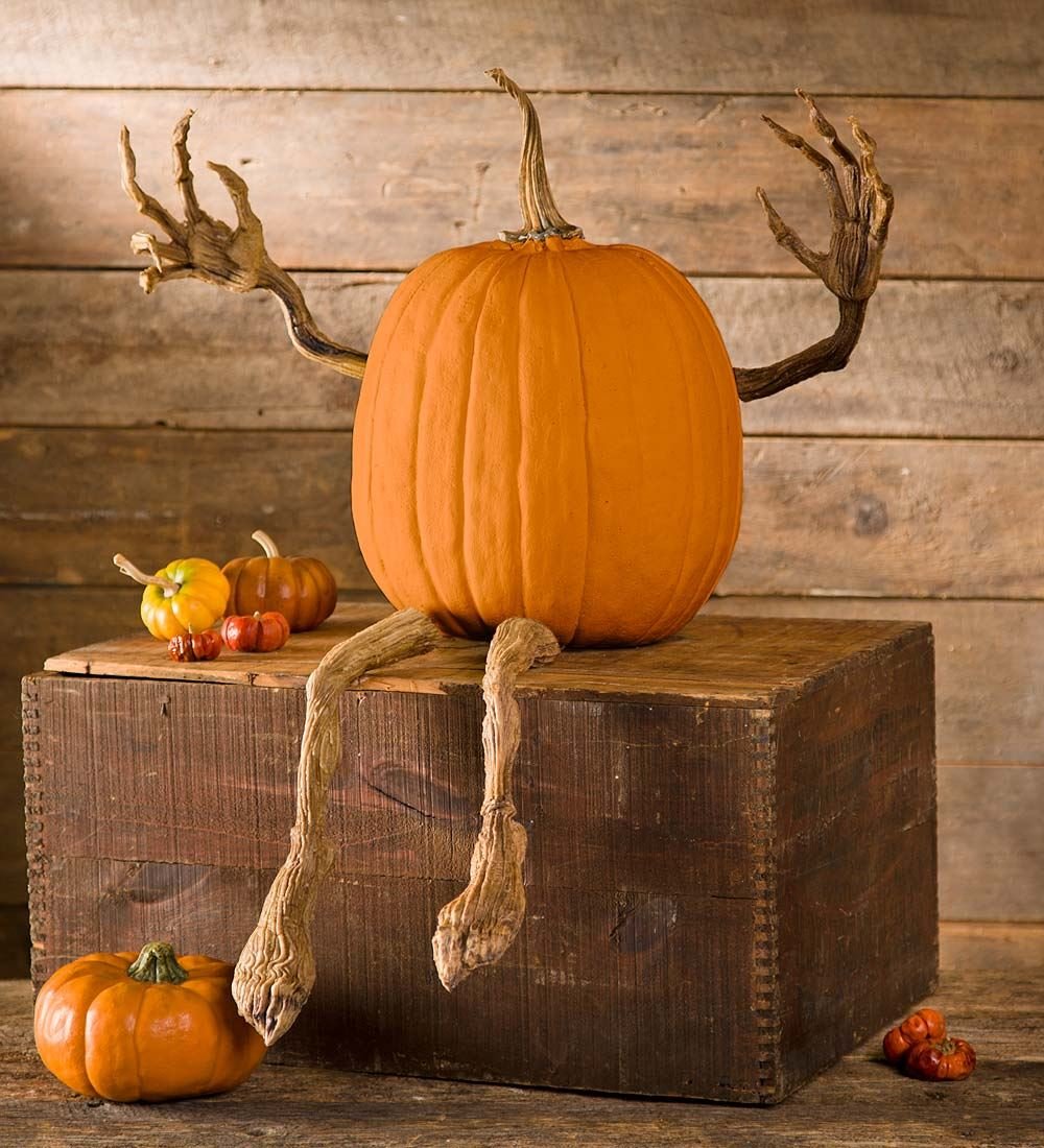 Plow & Hearth Set of 4 Bendable Pumpkin Arms and Legs | Twisting Vines for Halloween Pumpkin Carving DIY Crafts for Kids | Includes 2 arms and 2 Legs | Outdoor & Indoor Halloween Decorations