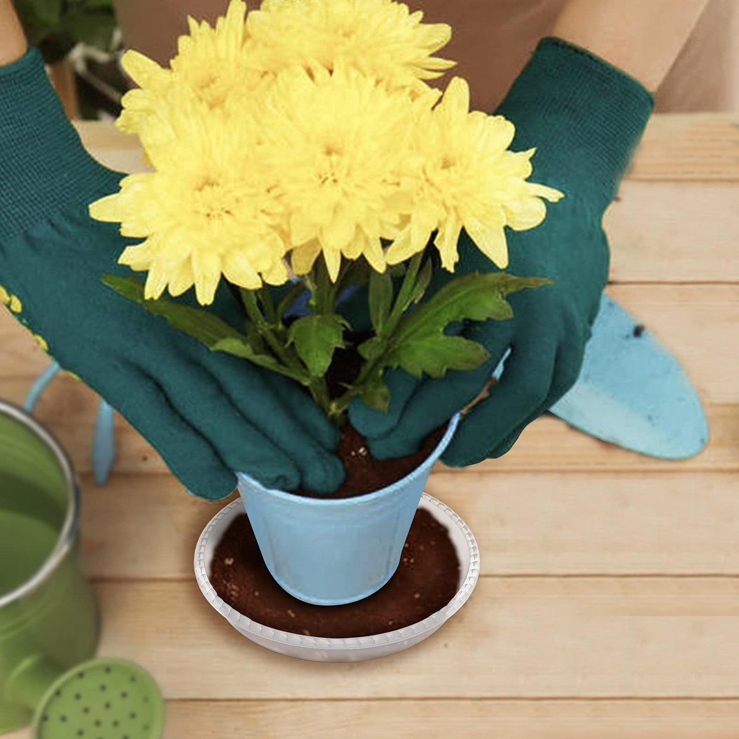 FUTED 6 Pack Clear Plant Saucer 6 8 10 inch, Durable Plastic Plant Trays for Indoor, Round Flower Plant Pot Saucer, Sturdy Plant Water Catcher Tray