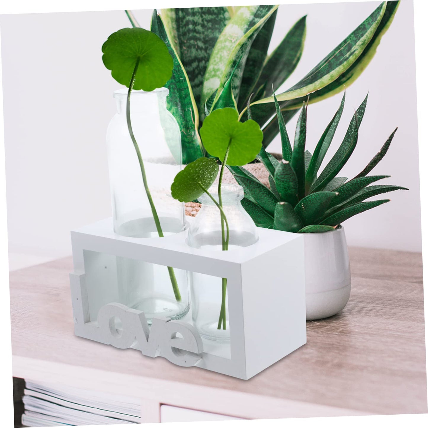 Parliky Glass Plant Vase Stand Air Plant Holder Propagating Vase Terrarium for Indoor Decor