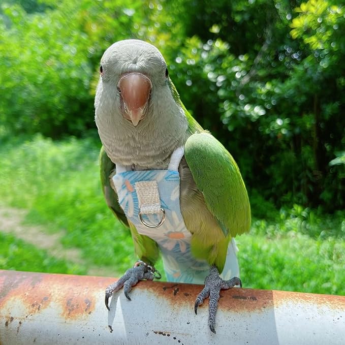 Snap-Closure Parrot Diapers with Adjustable Leash - Washable Bird Flight Suits for Cockatiels, Sun Conures & Quaker Parrots Secure & Chew-Resistant (M – Little Sun/Budgie + 1m Rope)