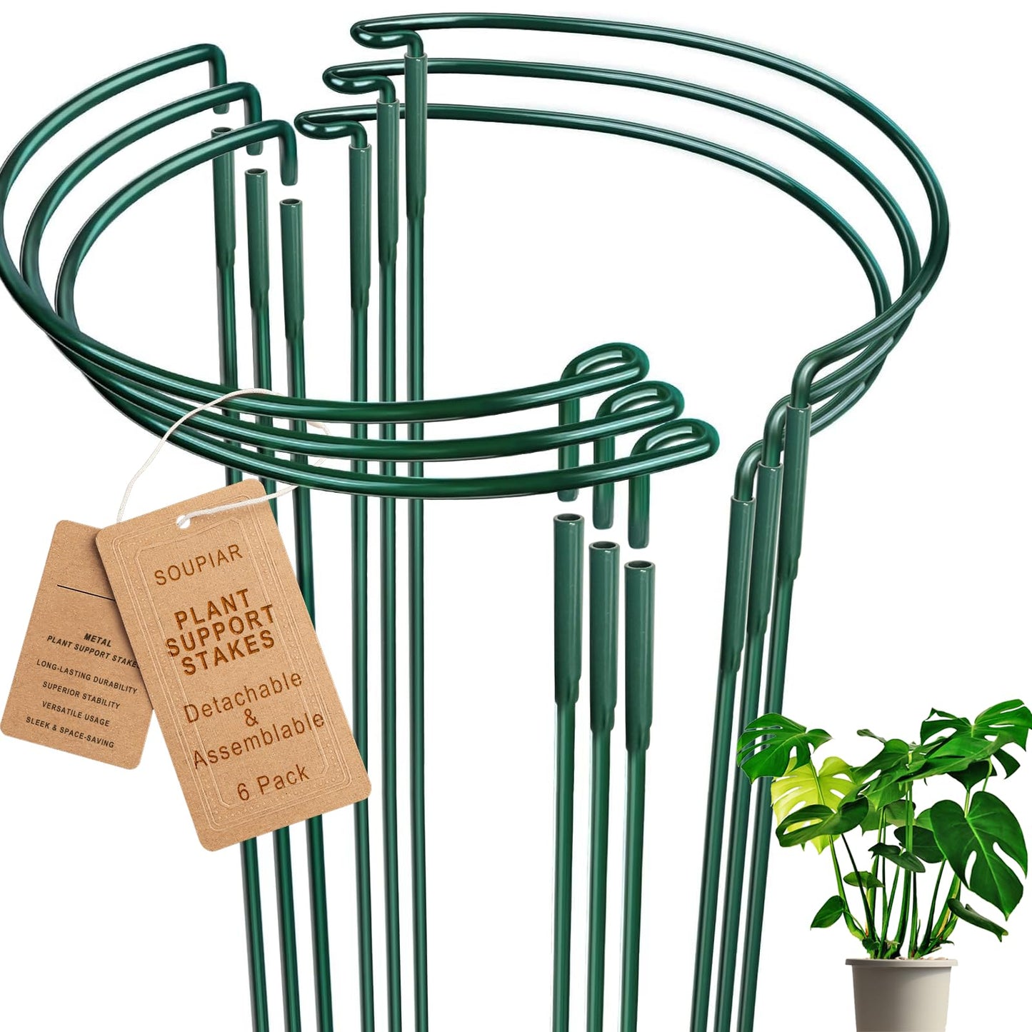 6 Pack Detachable & Assemblable Metal Plant Support Stakes - Garden Support Ring, Tomato Seedling Cage, Young Monstera/Pothos for Growing Indoor/Outdoor (10" W x 16" H)