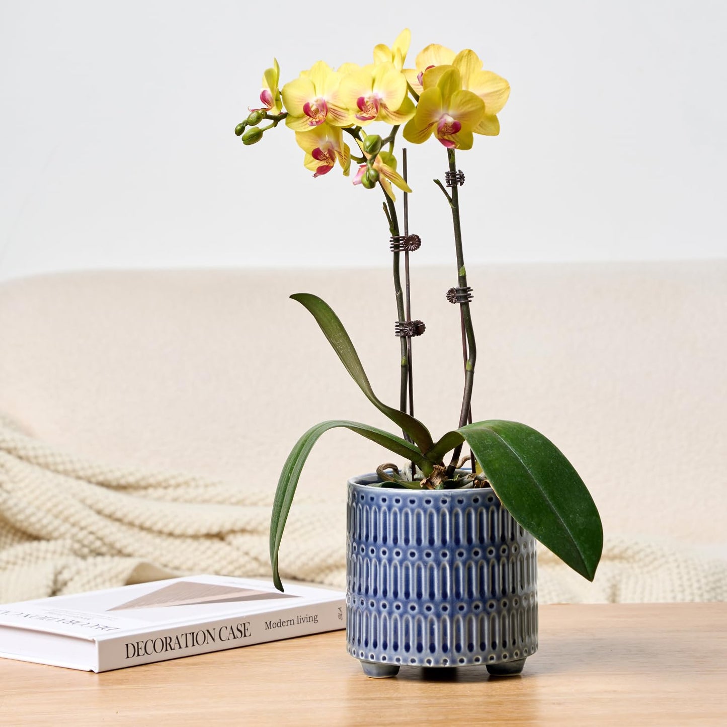 STHIE 5 Inch Ceramic Planters for Indoor Plants, Blue Cactus Snake Plant Pots with Drainage, Unique Design Round Flower Pot for Home Decoration