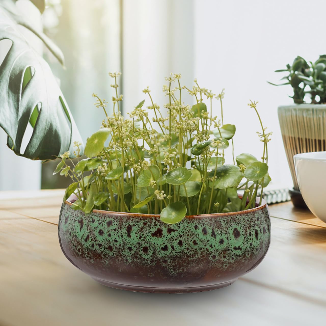 Yardwe Hydroponic Ceramic Flower Pot 6.3 Inch Non-Porous Planter for Succulent Water Lily Bonsai Decoration Home and Garden Plant Container
