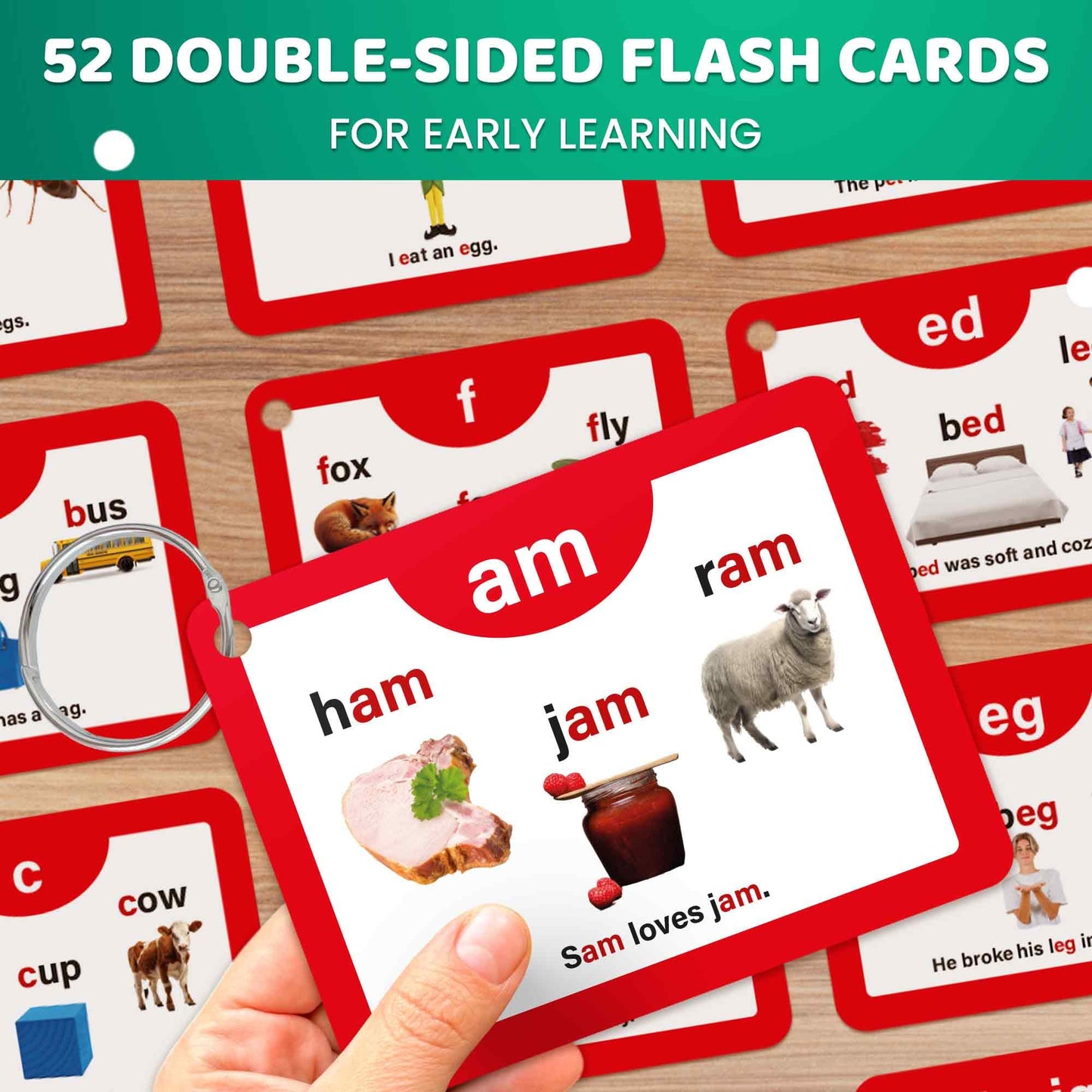 QUOKKA English Alphabet CVC Flash Cards – Learn to Read Set for Kids Ages 3-5 and 4-8 – Phonics Cards for Toddlers 2-4 Years and Kindergarten Learning – Reading Tools for Kids & Homeschool Essentials